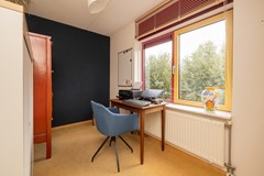 Vrouwenmantel 81  Schoonhoven 045.jpg